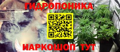 гашик Новодвинск