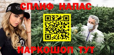 гашик Новодвинск