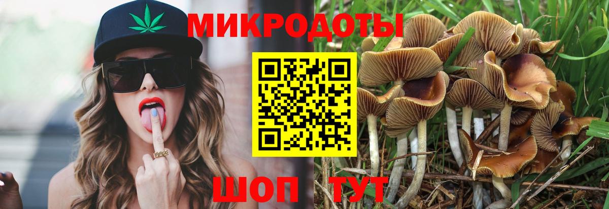 Галлюциногенные грибы GOLDEN TEACHER Тихорецк